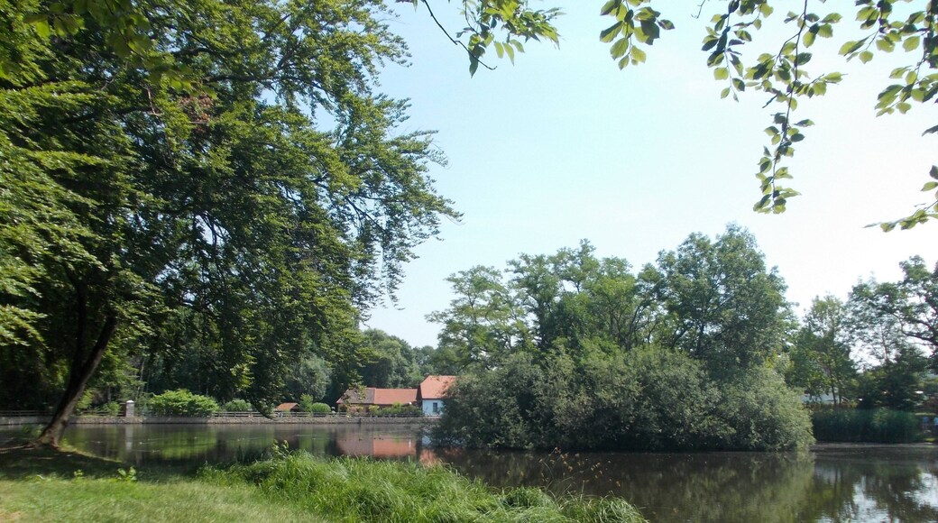 Mill pond in Braunsbedra (district: Saalekreis, Saxony-Anhalt), belonging to the protected landscape area Gröster Berge