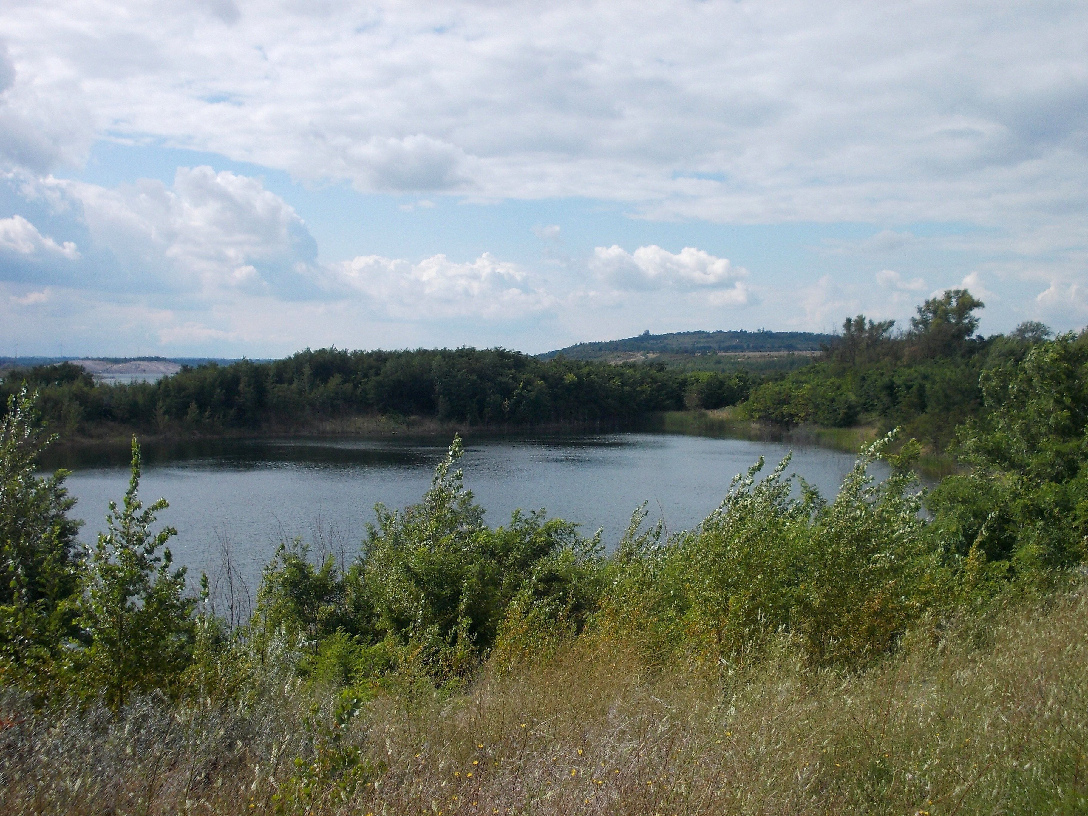 Little lake beside Geiseltal Lake (district: Saalekreis, Saxony-Anhalt)