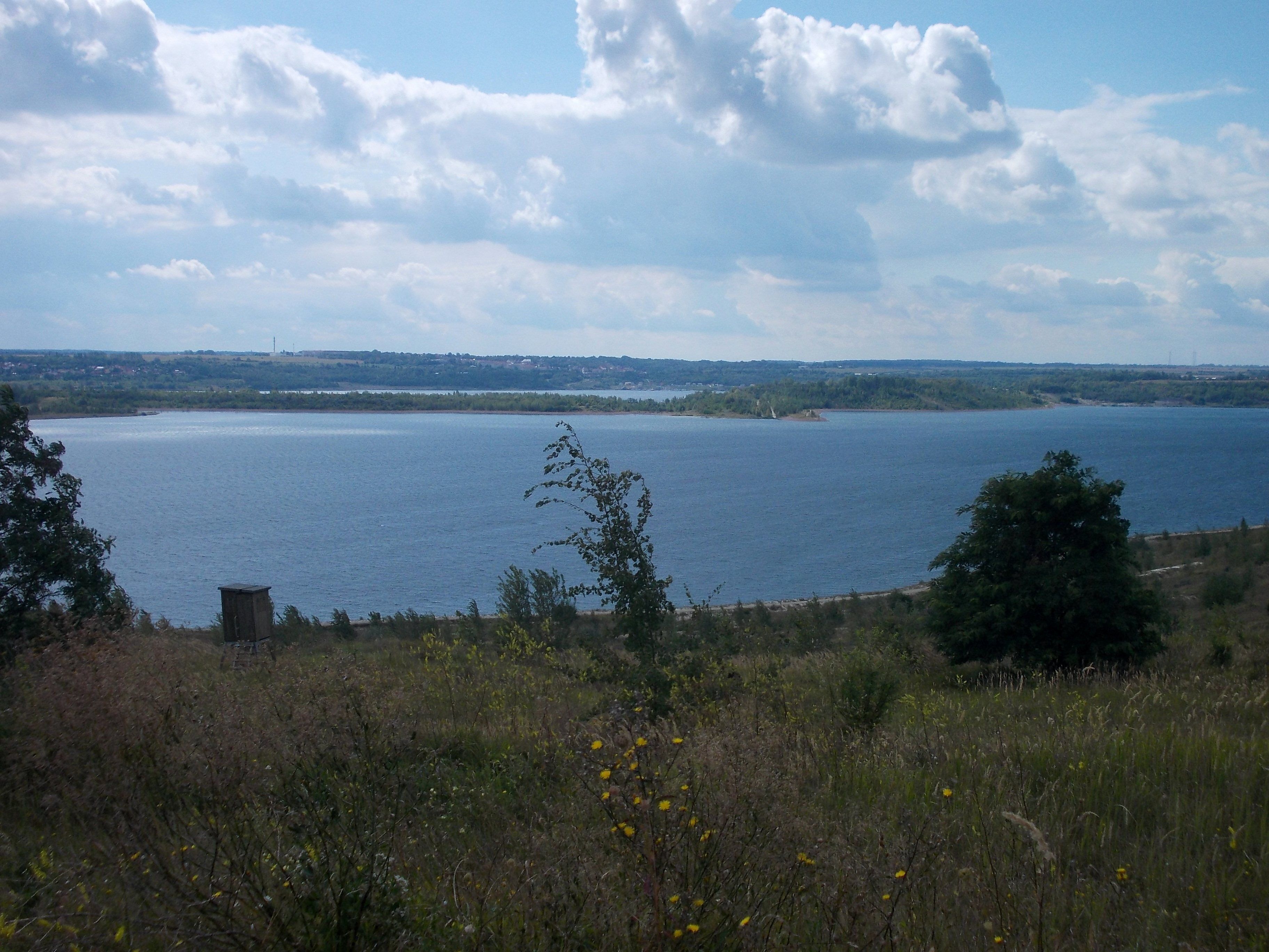 View of Geiseltal Lake (district: Saalekreis, Saxony-Anhalt) from the northern shore