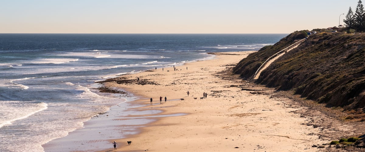 A beach with waves, people, and a coastal path.