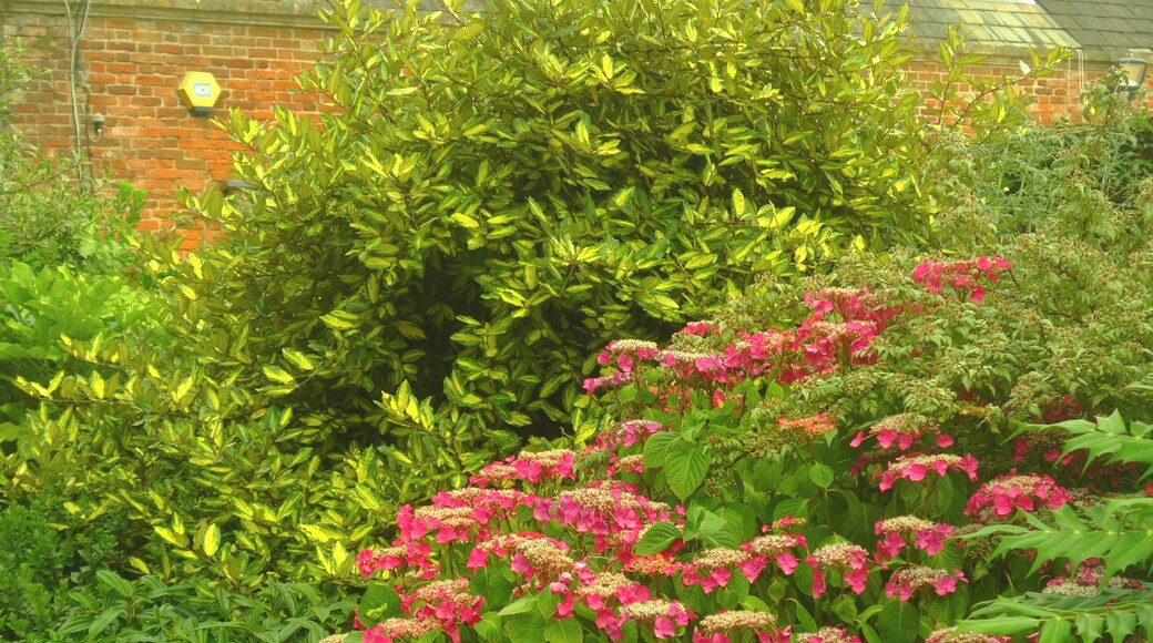 This is a photo of listed building number