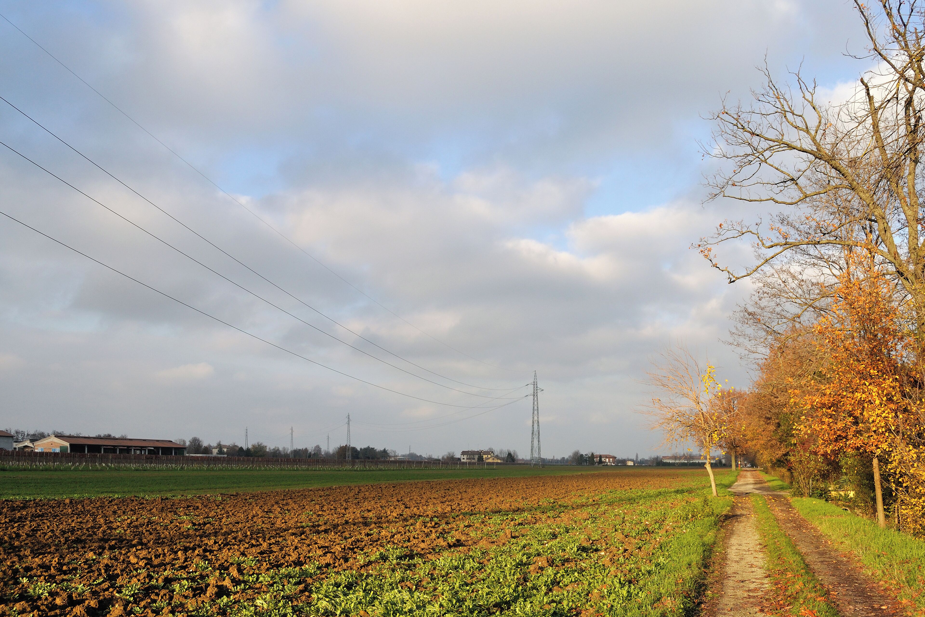 Via Delle Querce - Fellegara, Scandiano (RE) Italia - 2 Dicembre 2012