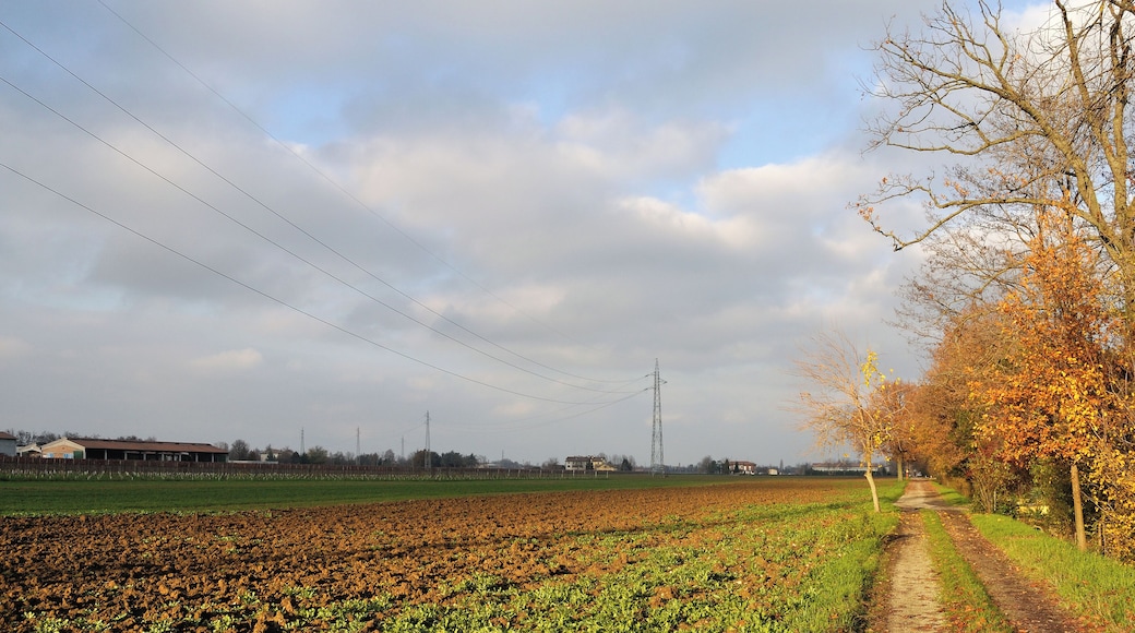 Via Delle Querce - Fellegara, Scandiano (RE) Italia - 2 Dicembre 2012