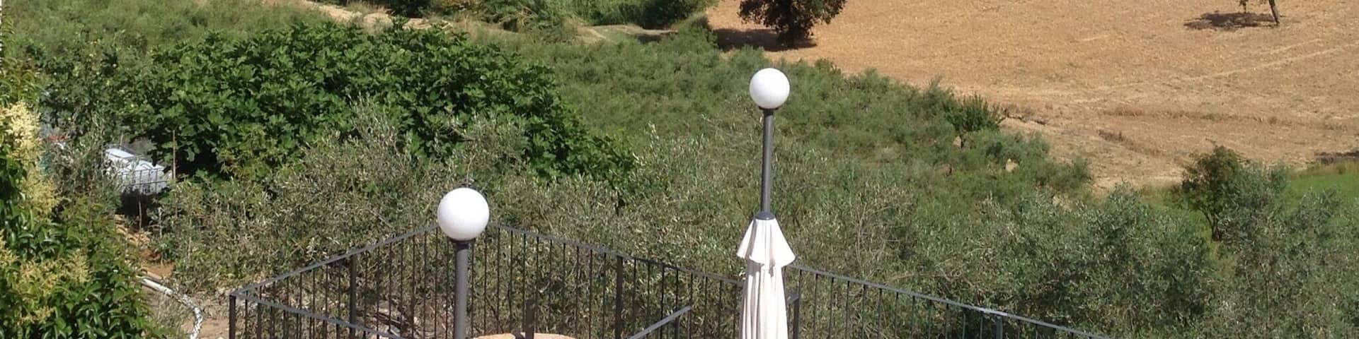 Sunflower field view from our bedroom terrace
http://sleland.weebly.com/blogs/a-is-for-abruzzo