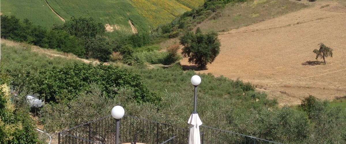 Rolling hills with fields of yellow flowers, green pastures, and scattered trees.