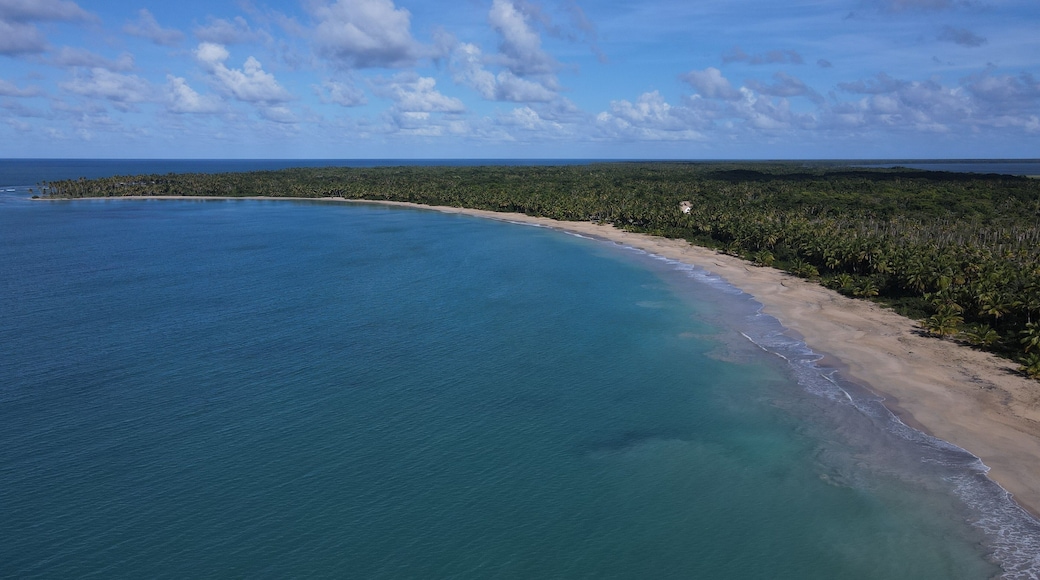 Big caribbean beach Esmeralda Miches Dominican Republic birds view