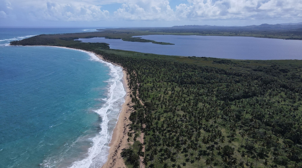 Big caribbean beach Esmeralda Miches Dominican Republic birds view