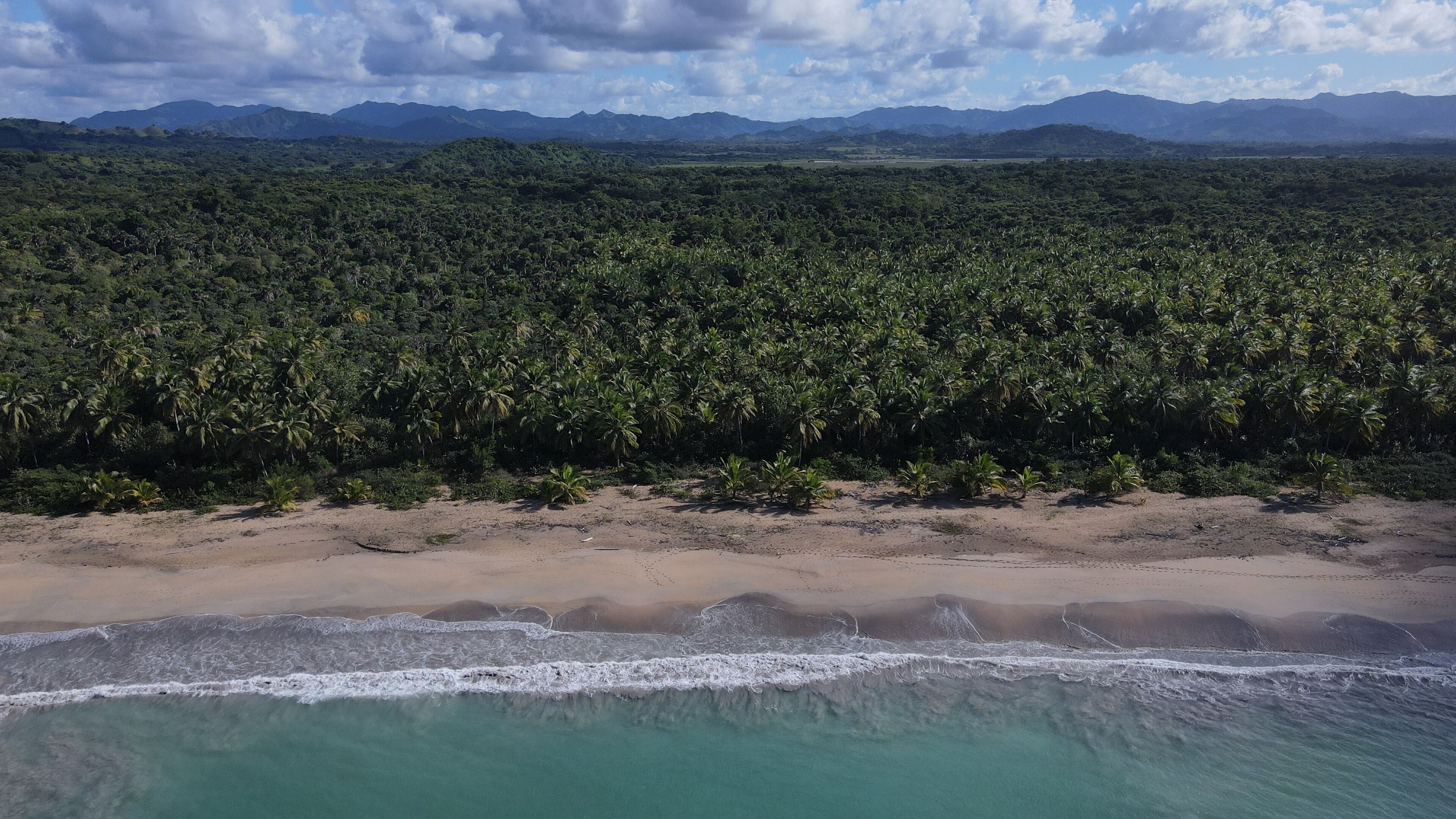 Big caribbean beach Esmeralda Miches Dominican Republic birds view