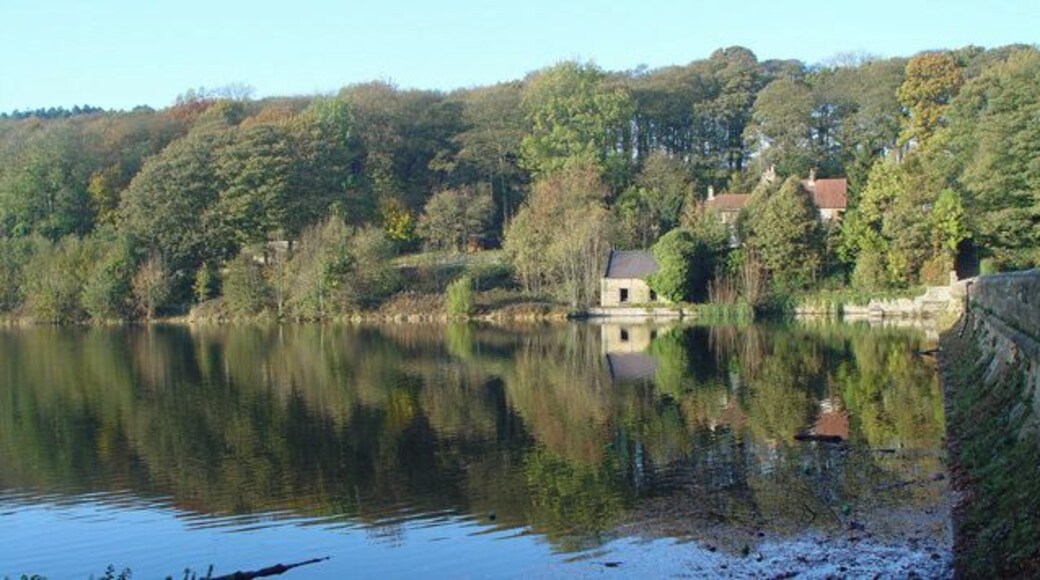 Lineacre Lower Reservoir Looking roughly north along the wall.