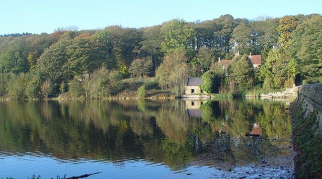 A calm lake with a house and trees in the background.