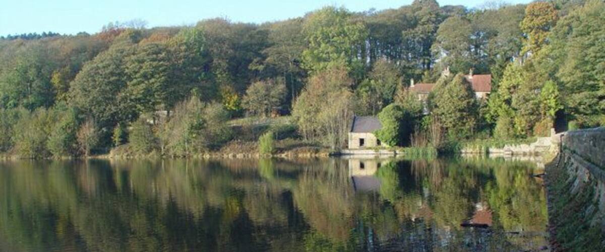 A calm lake with a house and trees in the background.