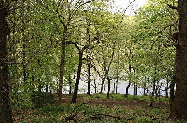 Linacre Woods and Lower Reservoir