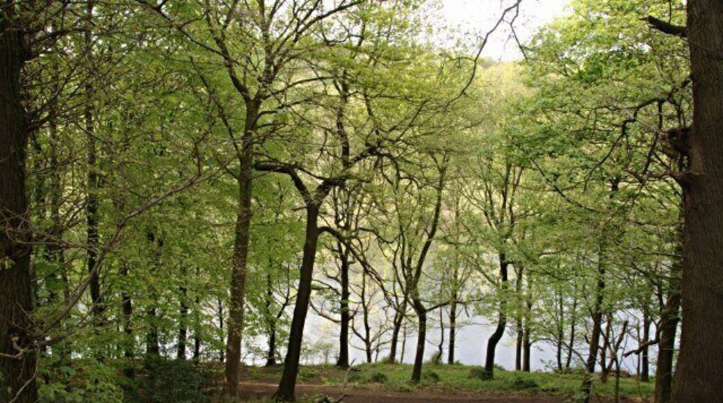 Linacre Woods and Lower Reservoir
