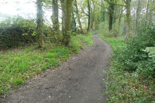 Linacre Bridleway Bridleway through woodland at the southern edge of Linacre