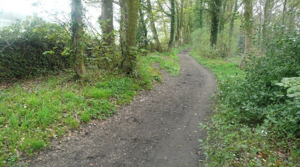 Linacre Bridleway Bridleway through woodland at the southern edge of Linacre