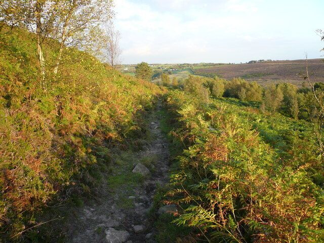 Footpath view in the general direction of Cat Hole