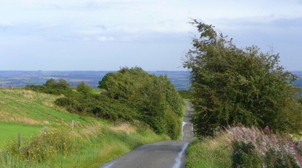 Claypit Lane Heading east, downhill, from Loads Head towards Holymoorside.