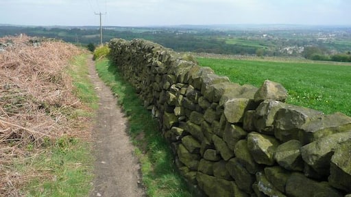 Bridleway outside Holymoorside This bridleway leads from Nab Quarry down into Holymoorside.