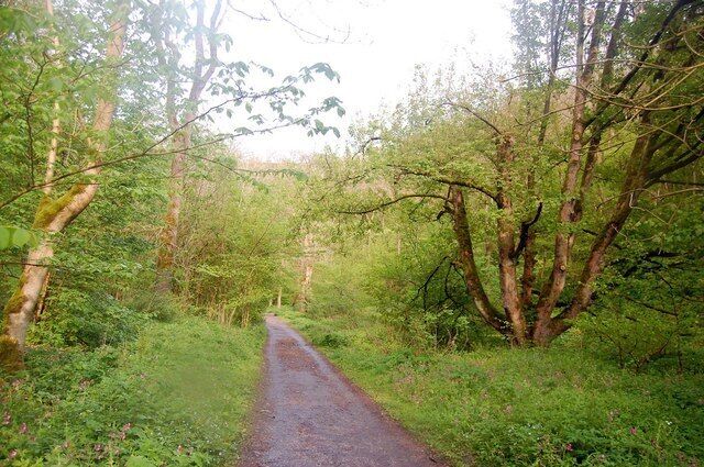 Footpath through Lathkill Dale At this point the dale is heavily wooded and - at this time of year - very lush.