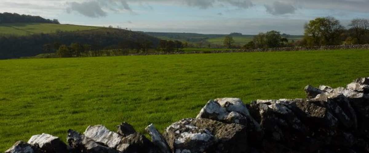 Fields near Haddon Grove Across the fields is Lathkill Dale, thickly wooded. This view is looking south from Mandale House