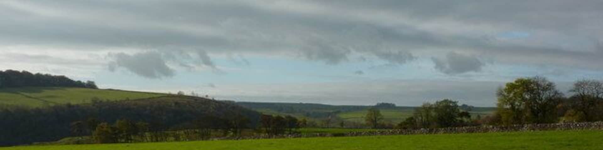 Fields near Haddon Grove Across the fields is Lathkill Dale, thickly wooded. This view is looking south from Mandale House