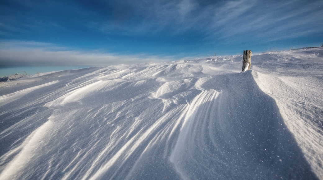 vicino al sacrario fuori da ogni sentiero, camminando nella neve s'era soltanto un deserto i ghiaccio e vento