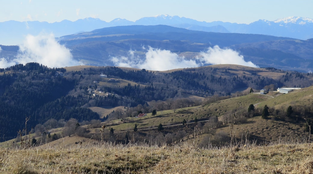 Massiccio del Grappa (Q49963034)