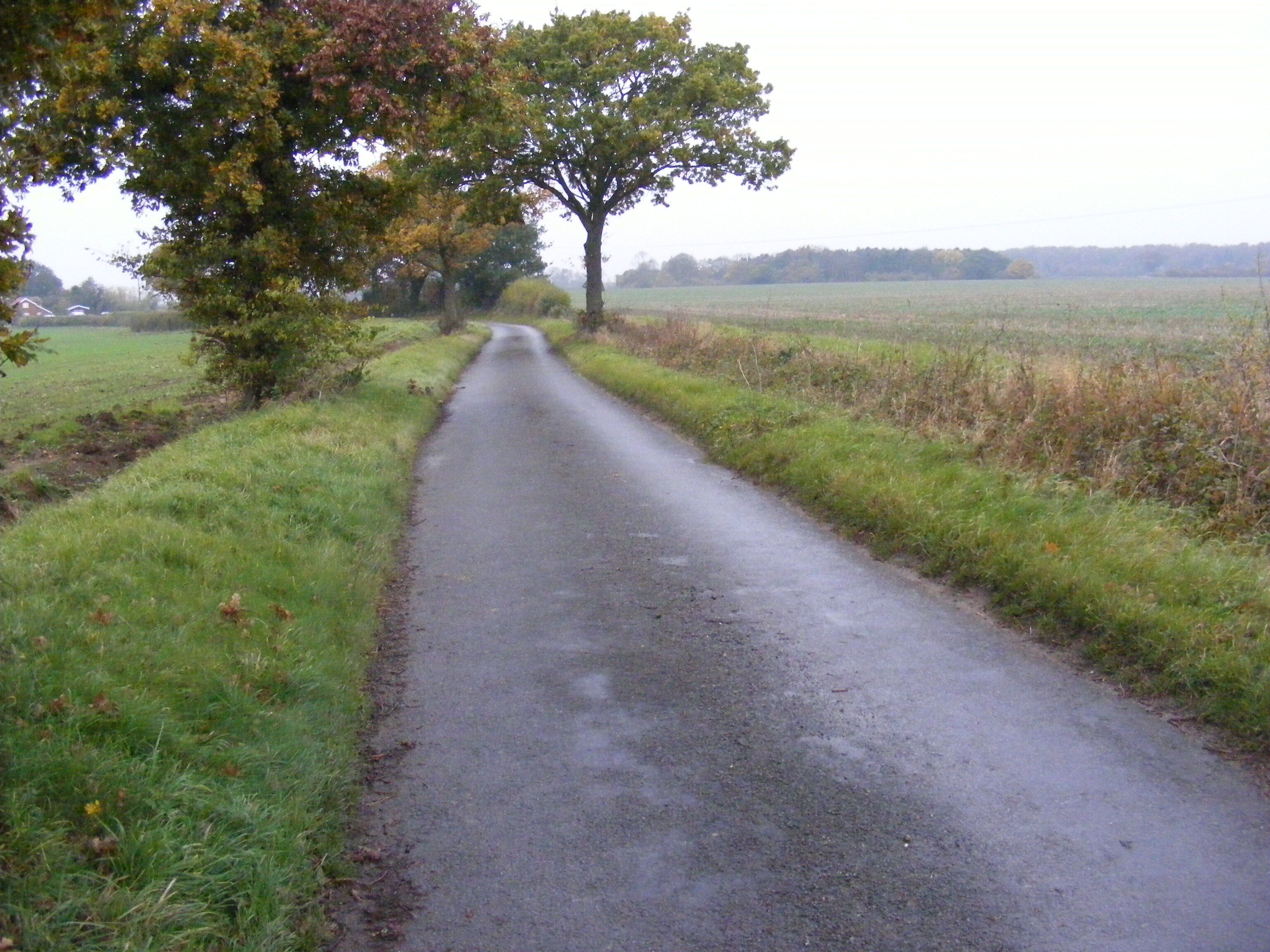 Dallinghoo Road Looking towards Dallinghoo