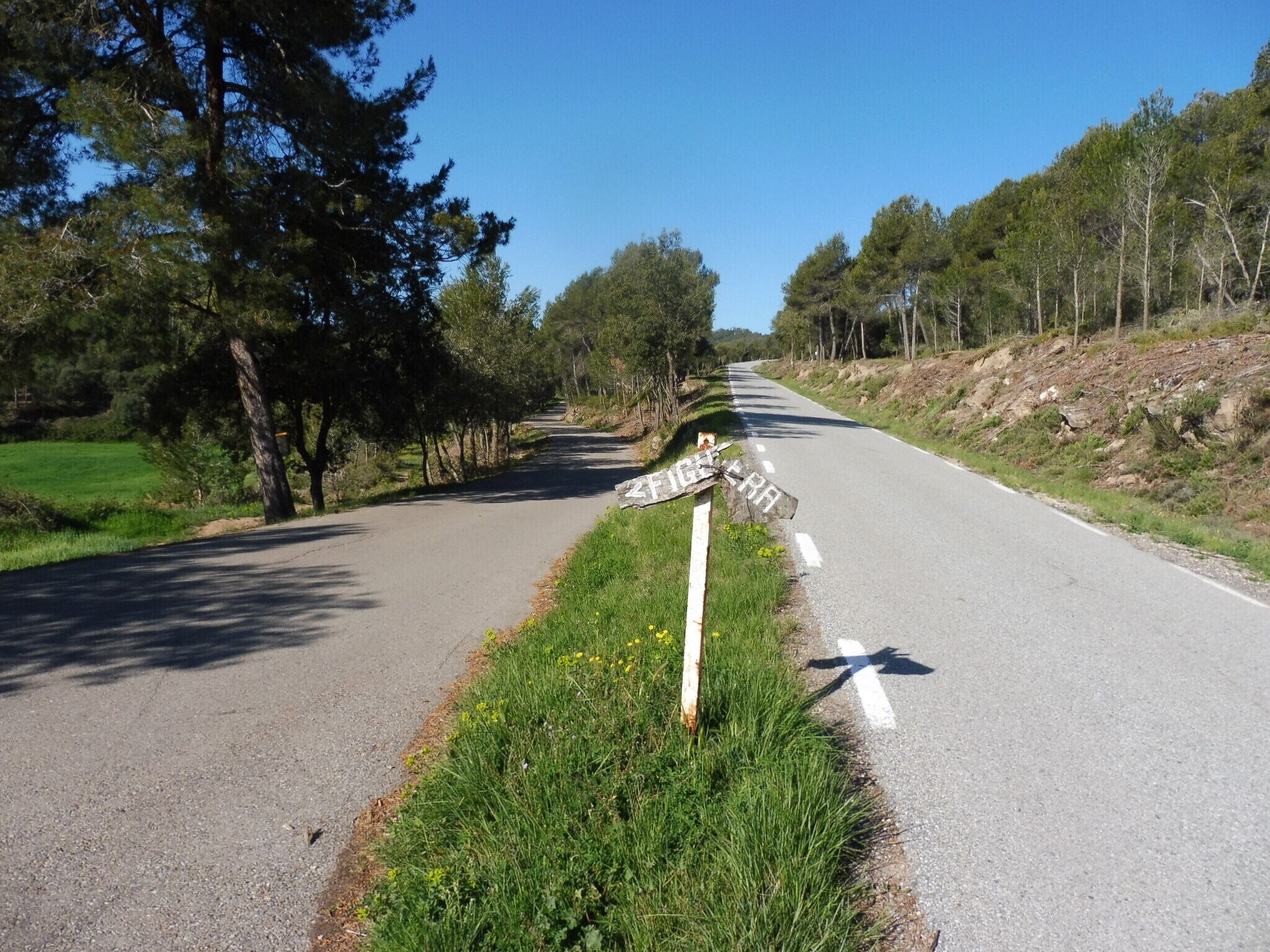 Trencall a la masia Figuera (Sant Mateu de Bages) al km 11,7 de la carretera BV-3003