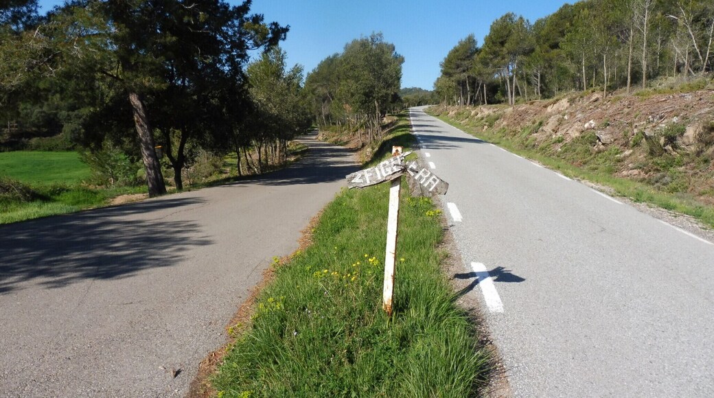 Trencall a la masia Figuera (Sant Mateu de Bages) al km 11,7 de la carretera BV-3003