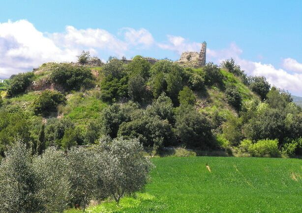 El castell des de l'ermita de Santa Magdalena del Pla