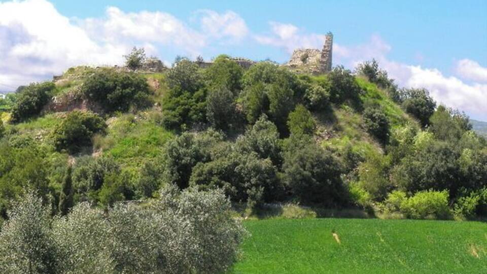 A hill with a castle ruin, green fields, and olive trees.