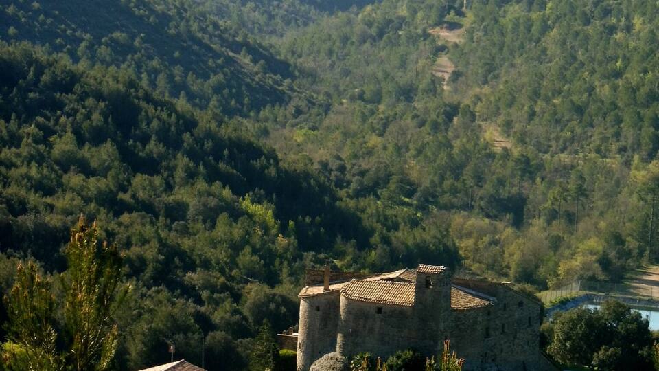 A medieval stone castle surrounded by dense forest and rolling hills.