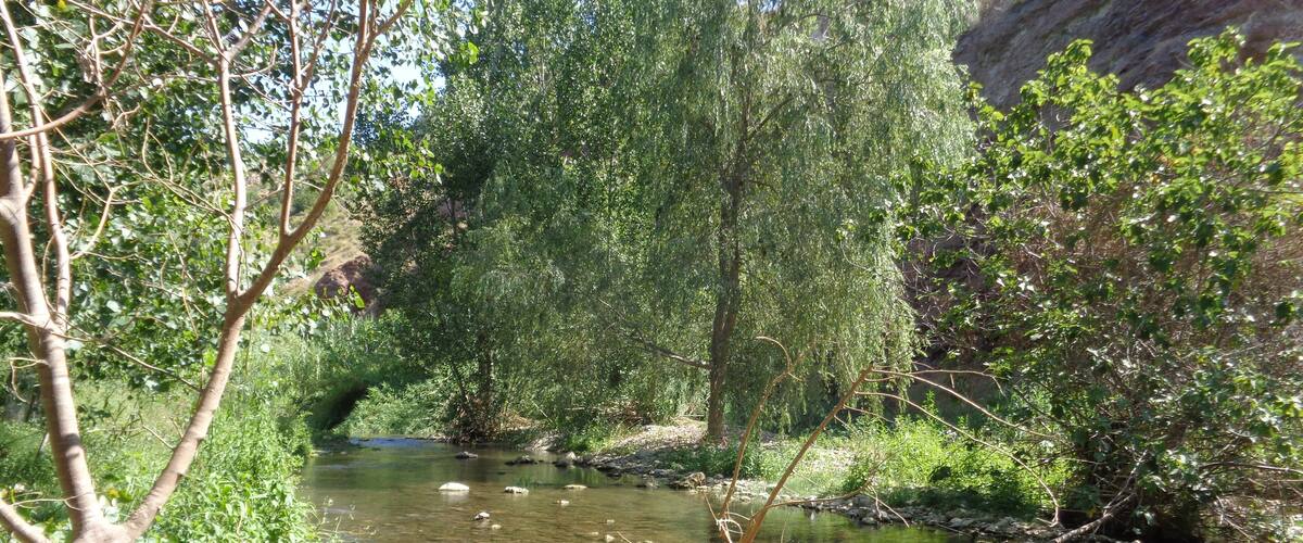 A clear stream with trees and a rocky cliff in the background.