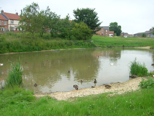 Duck Pond, Fridaythorpe, East Riding of Yorkshire, England.