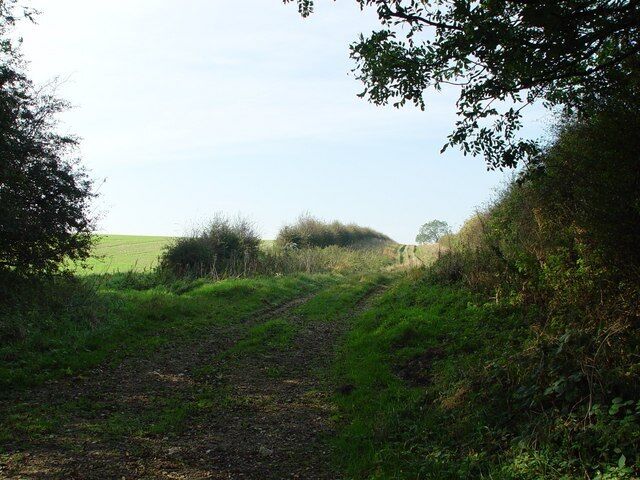 Cowpasture Road, Fridaythorpe, East Riding of Yorkshire, England. We have never seen cows on this track.