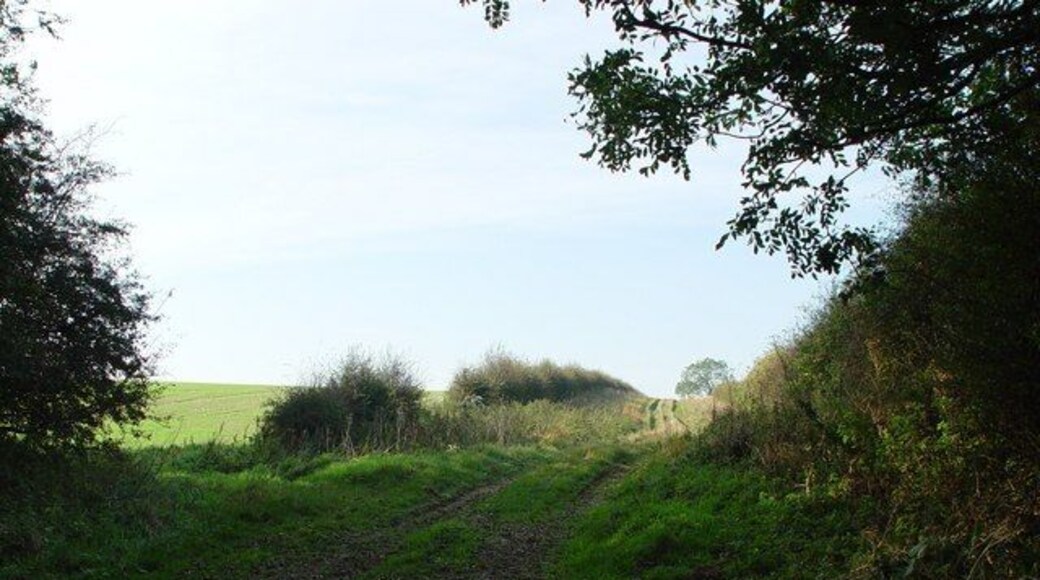 Cowpasture Road, Fridaythorpe, East Riding of Yorkshire, England. We have never seen cows on this track.