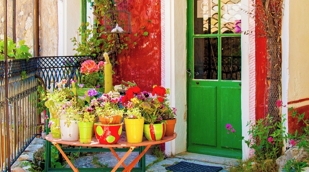 Colors, colors and colors