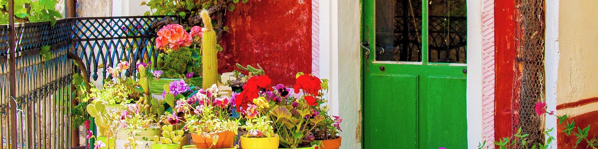 A vibrant outdoor market with a green door, colorful decorations, and various potted plants.