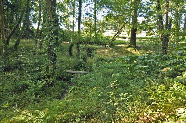Hidden woodland stream - Aberglasney