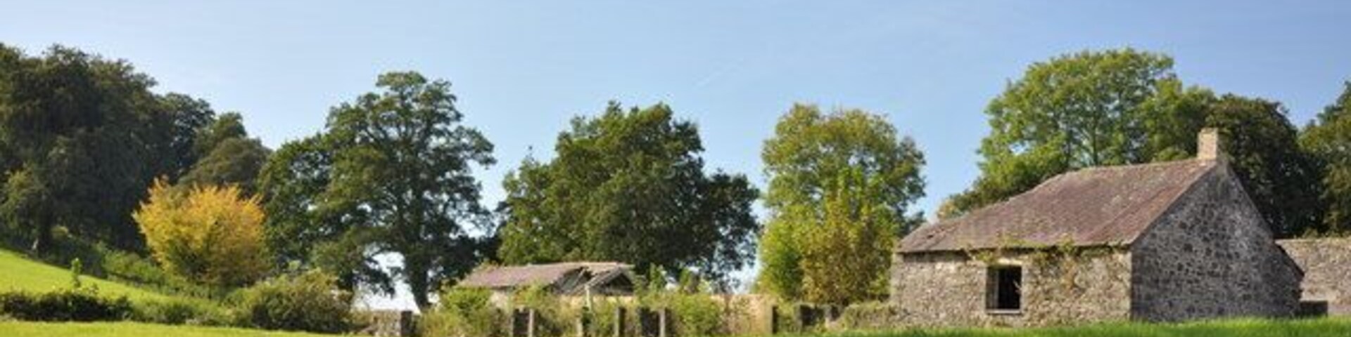 A stone house with a thatched roof in a grassy field, surrounded by trees and a clear blue sky.