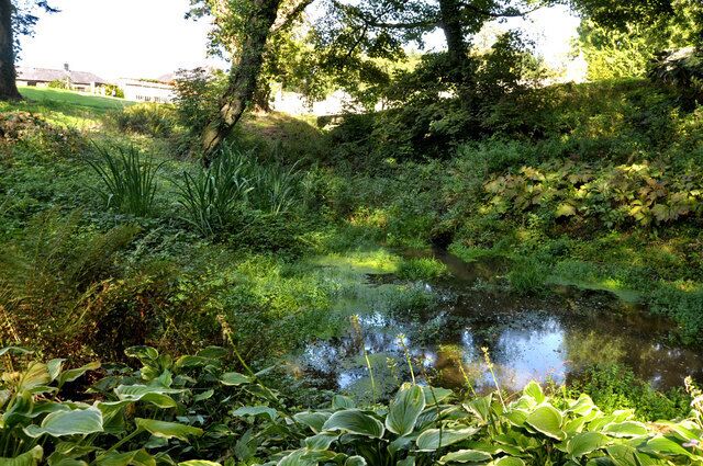 Woodland pool - Aberglasney The overflow from the pool garden runs down to this small pool before tumbling away, eventually to join the Towy,