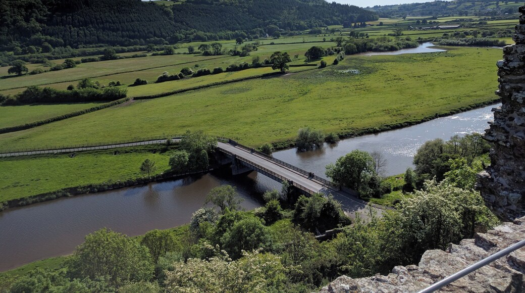 This is a photo of listed building number