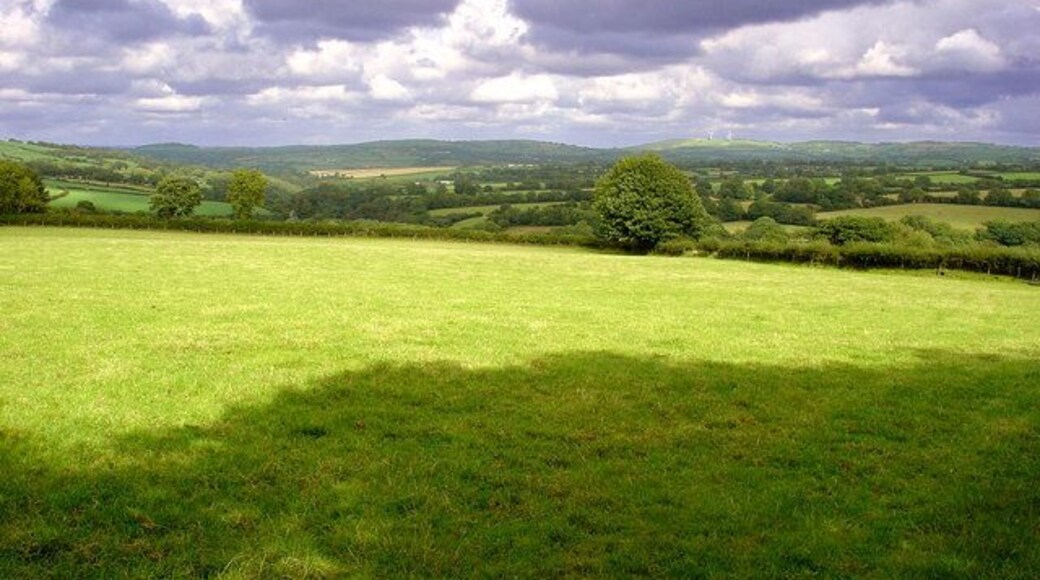 Field near Pen-banc, Clydau The hill in the distance with wind turbines is Moelfre (SN326361).