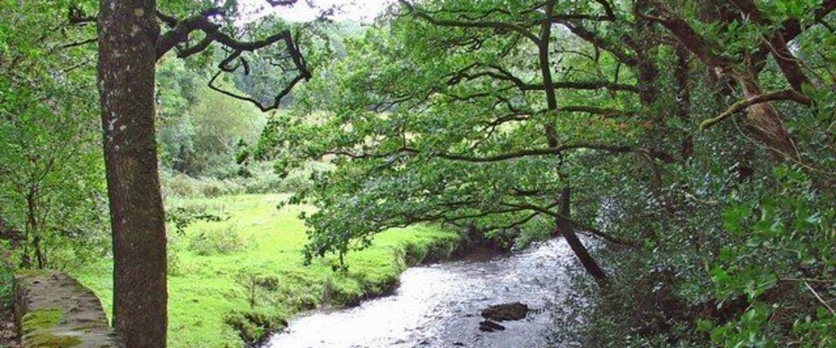 Bridge over Afon Dulas: Cwm Cych