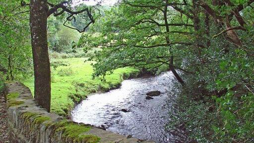Bridge over Afon Dulas: Cwm Cych