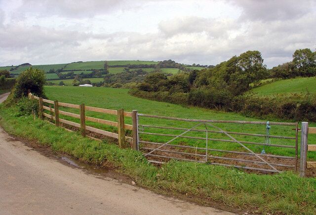 Narrow field near Nant-y-castell, Clydau