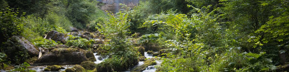 Les cascades du Hérisson dans la région des lacs dans le Jura en France en été avec ici une des plus hautes chutes d'eau: le Grand Saut