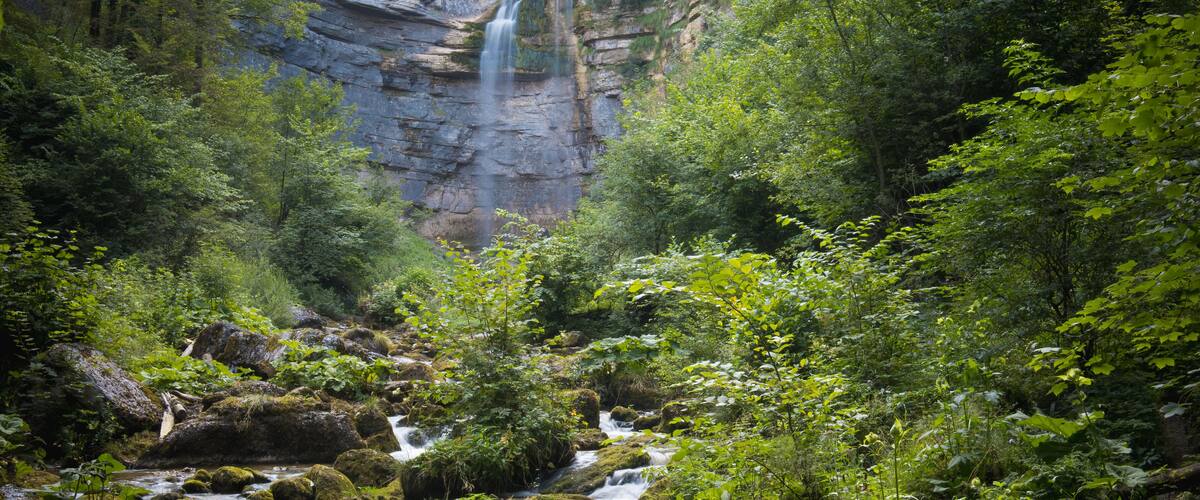 A forested area with a stream flowing over rocks and a waterfall in the background.