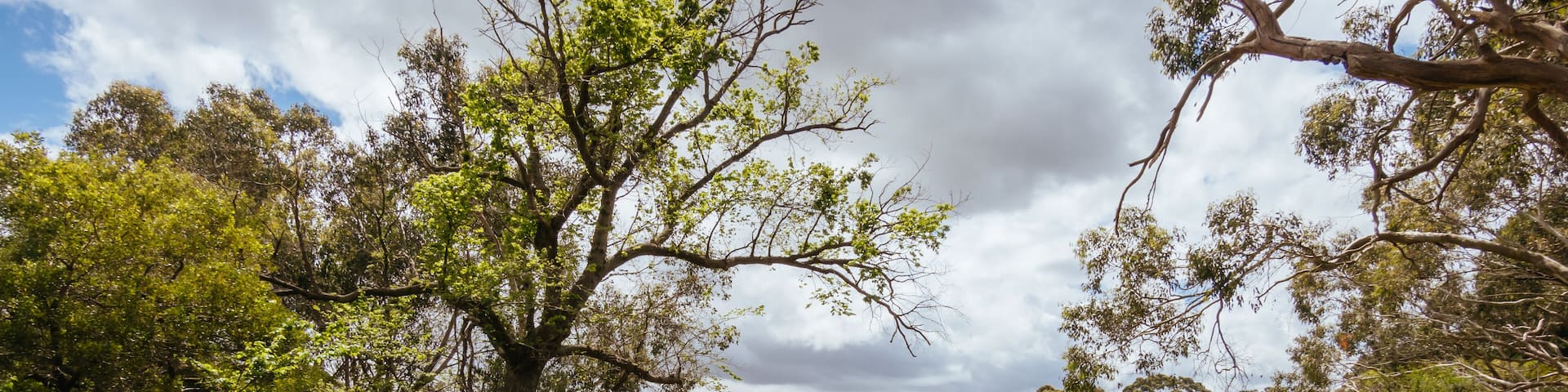 Coolart Wetlands and Homestead in Somers, Australia